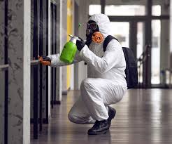 Why You Should Choose Our Mold Remediation Services in Warson Woods, MO